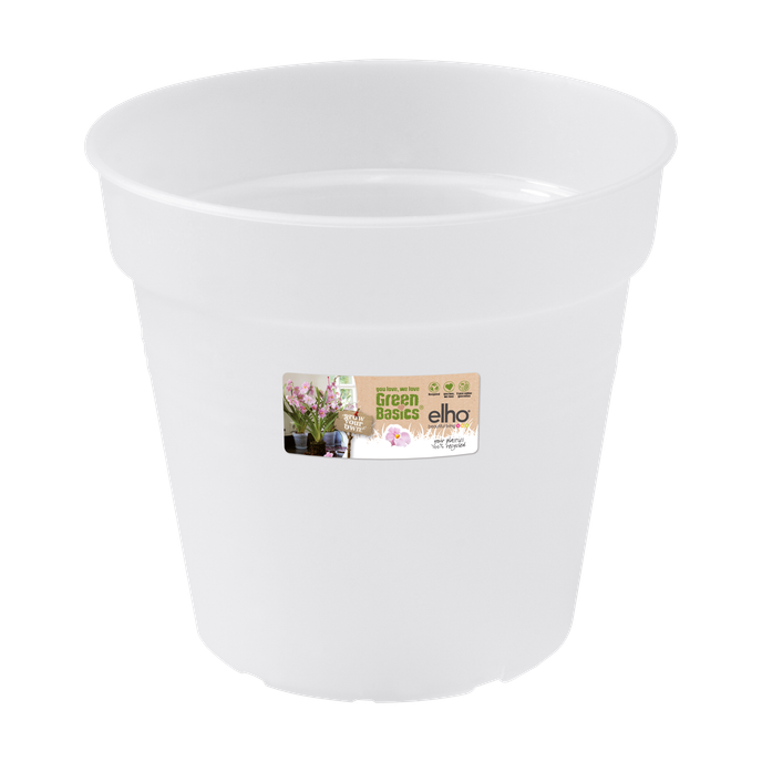 green basics orchidee 13cm transparent